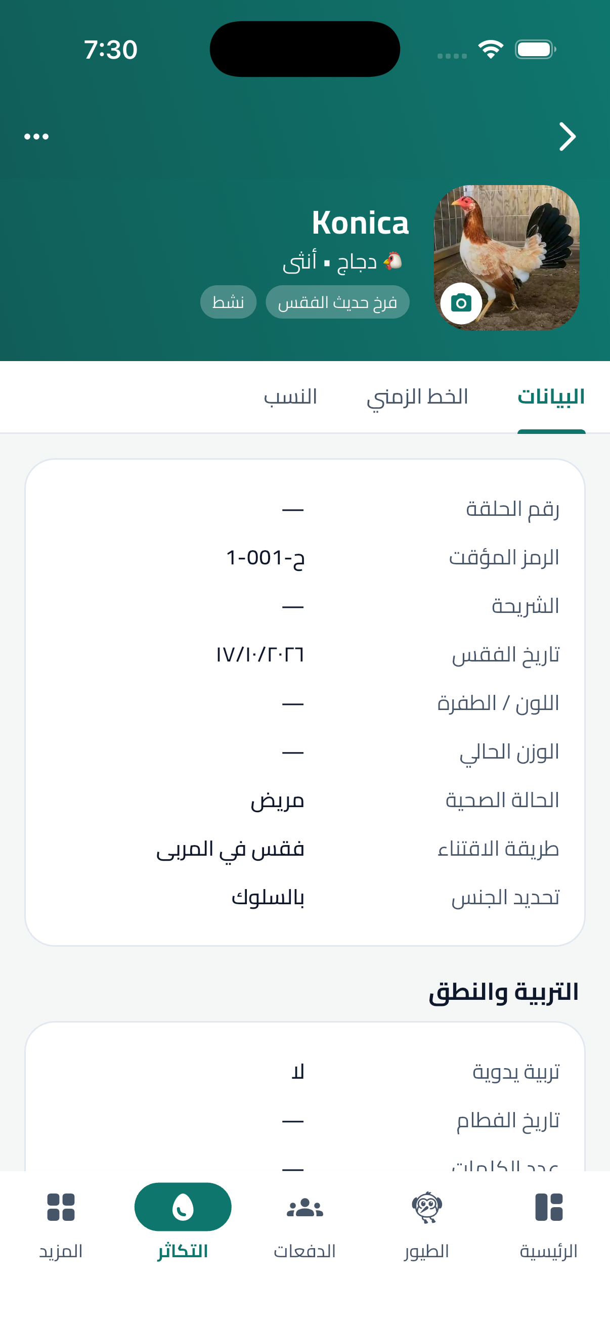 إدارة الطيور - موقع وتطبيق موبايل - ولوحة ادارة للمدير ولوحة ادارة للمربي